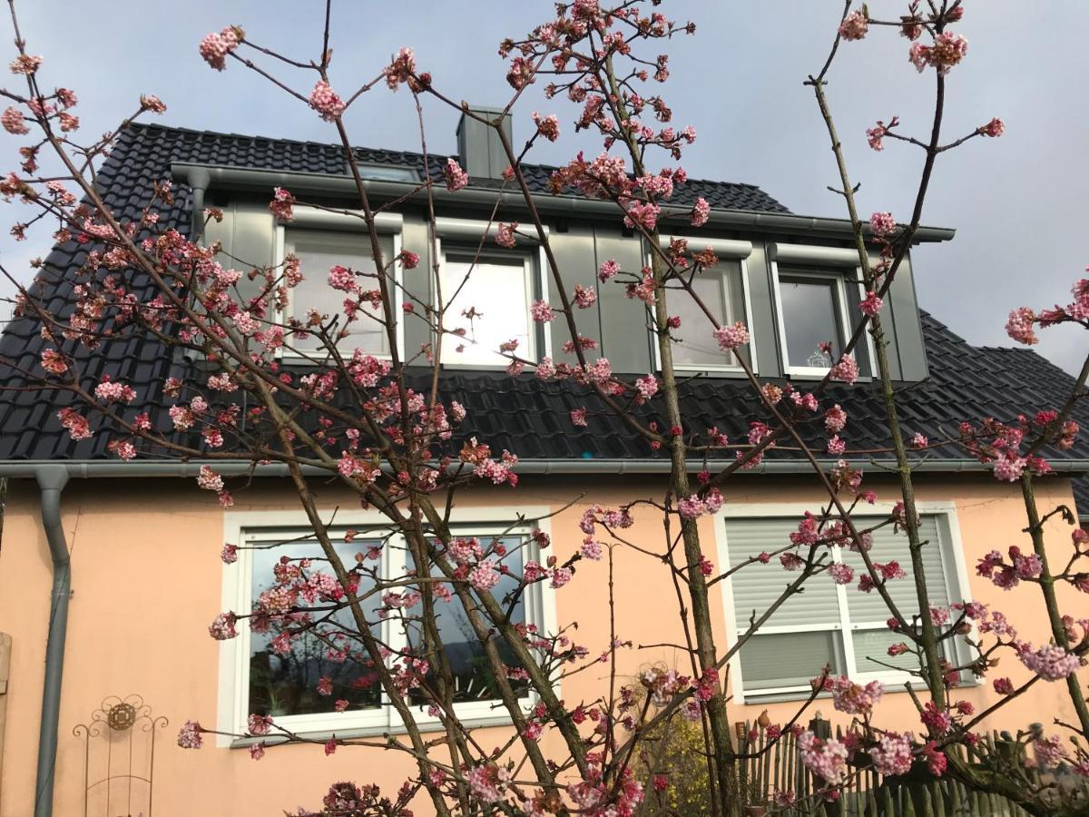 Kleine Auszeit Mit Aussicht Velbert Toenisheide公寓 外观 照片